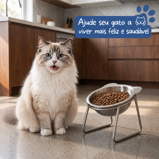 🎃 Oferta de Halloween: 50% OFF | Comedouro Elevado e Inclinado 15° para Cães e Gatos