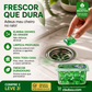 💧🧹 Desodorizante de canos em cápsulas – bioenzimático, ação profunda – adeus aos maus odores! 🚫