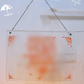 Hanging & Desktop LED Note Board Set