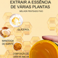 🧴💎 Gel para tranças e Locs – fixação duradoura, sem caspa & natural! ✨